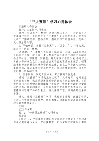 “三大整顿”学习心得体会