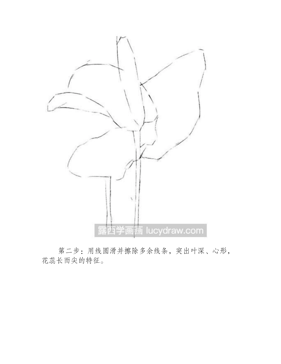 怎么绘制火鹤花彩铅画教程_第2页