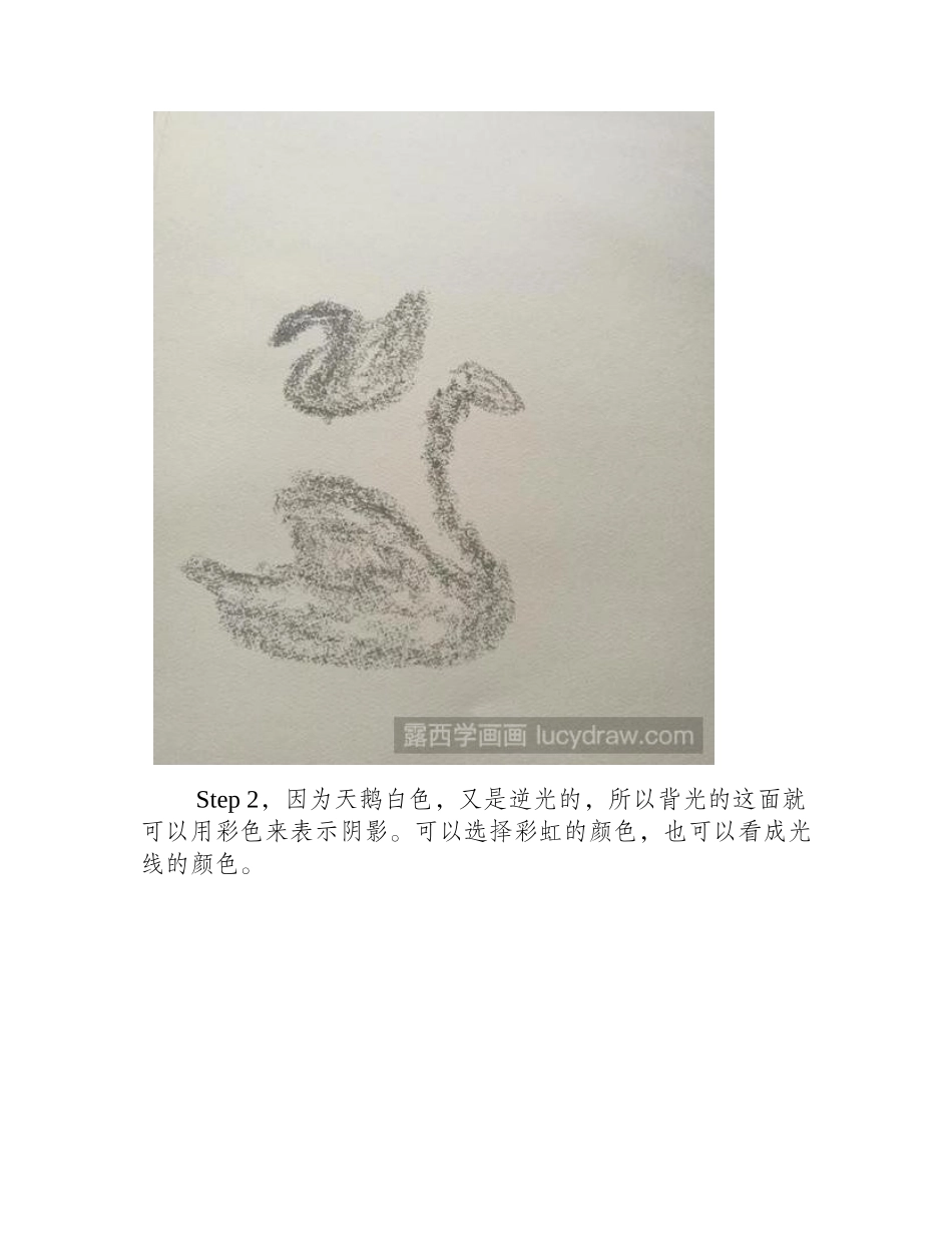 油画教程：怎么画天鹅_油画教程_第2页