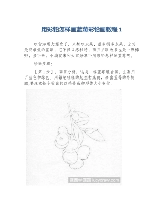 用彩铅怎样画蓝莓彩铅画教程1