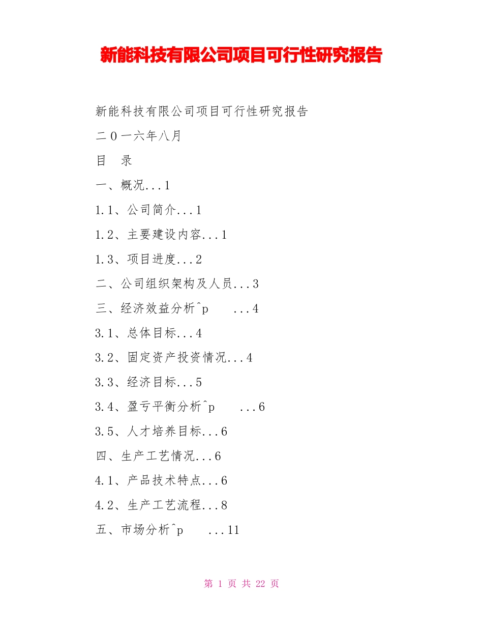 新能源科技有限公司项目可行性研究报告_第1页