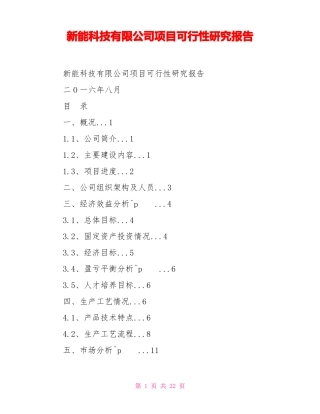 新能源科技有限公司项目可行性研究报告