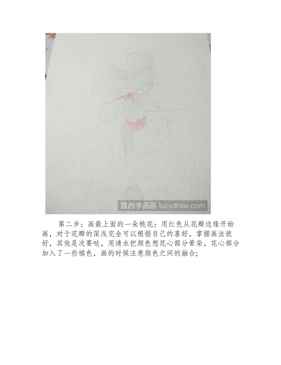 灼灼桃花水彩画教程水彩画教程_第2页