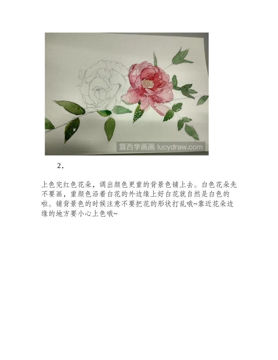 月季花水彩画教程水彩画教程_第2页