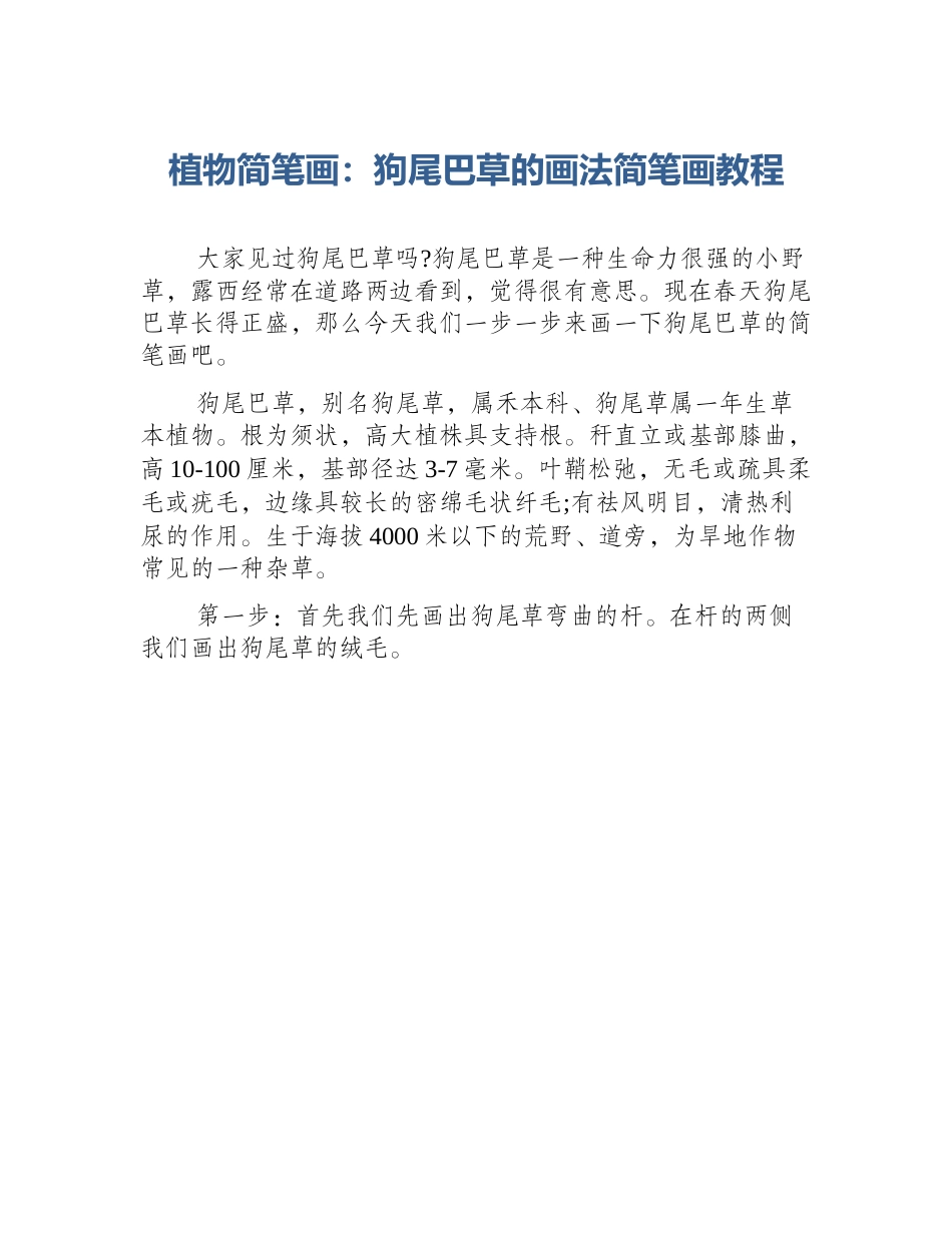 植物简笔画：狗尾巴草的画法简笔画教程_第1页