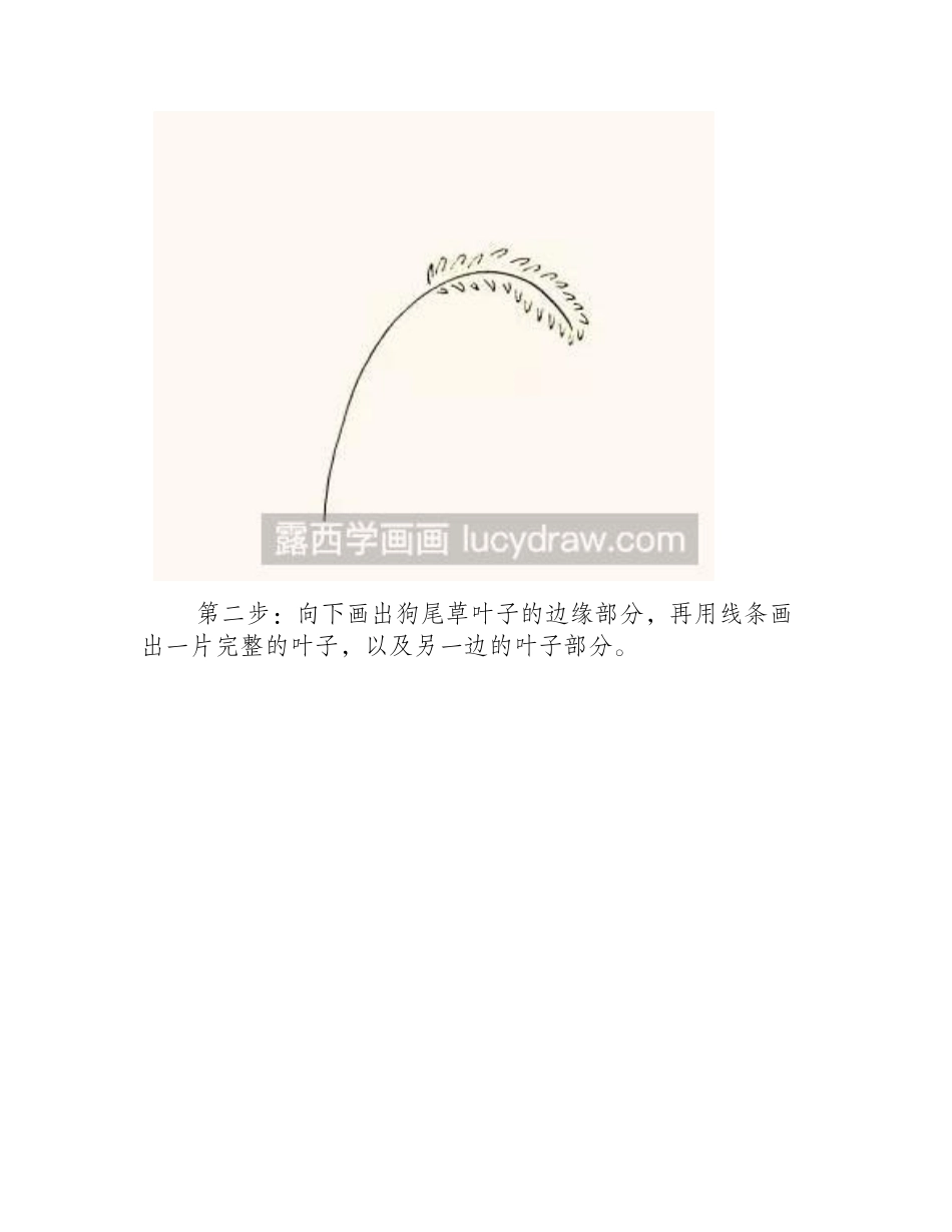 植物简笔画：狗尾巴草的画法简笔画教程_第2页