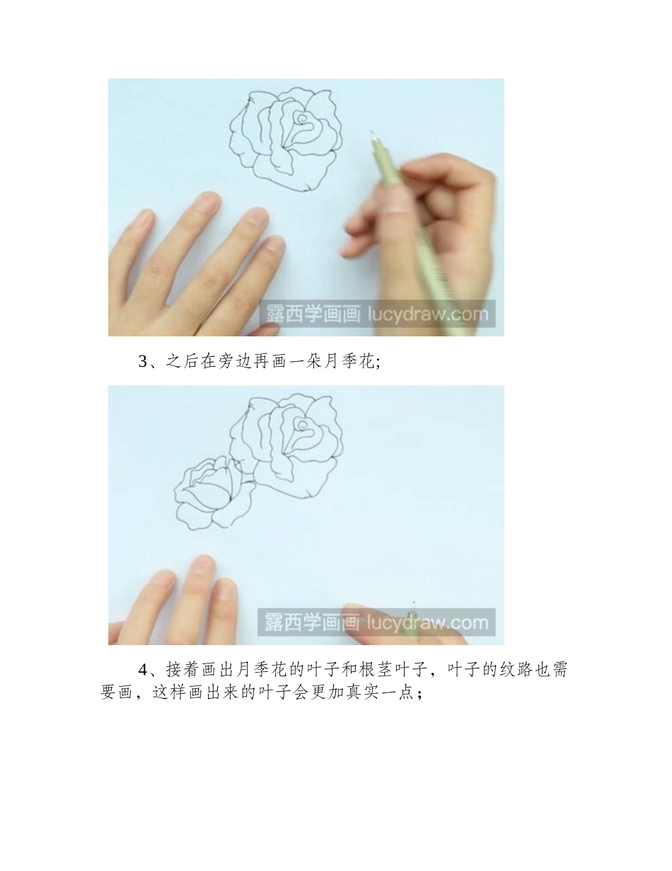 月季花简笔画怎么画_简笔画教程_第2页