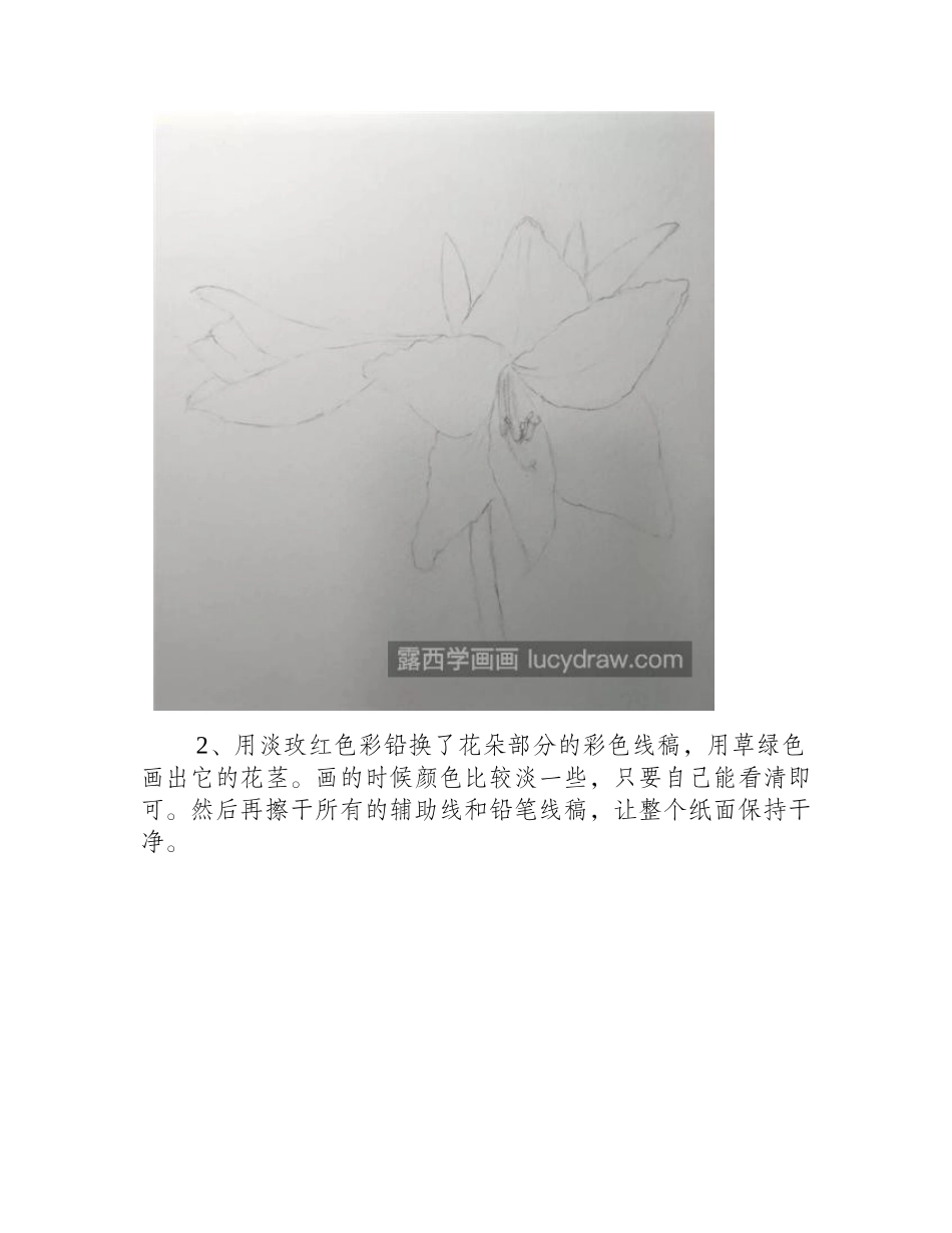 朱顶红怎么画_水彩朱顶红的步骤有哪些_水彩画教程_第2页