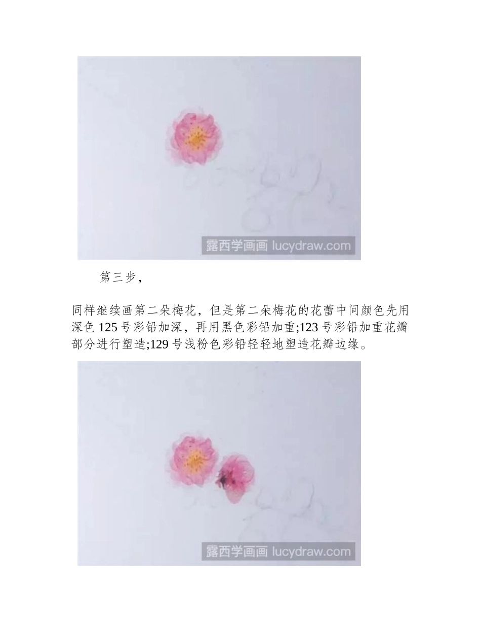一枝红杏彩铅画教程彩铅画教程1_第2页