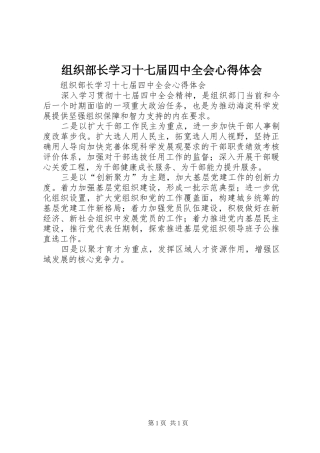 组织部长学习十七届四中全会心得体会