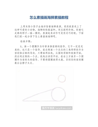 怎么素描画海狮素描教程