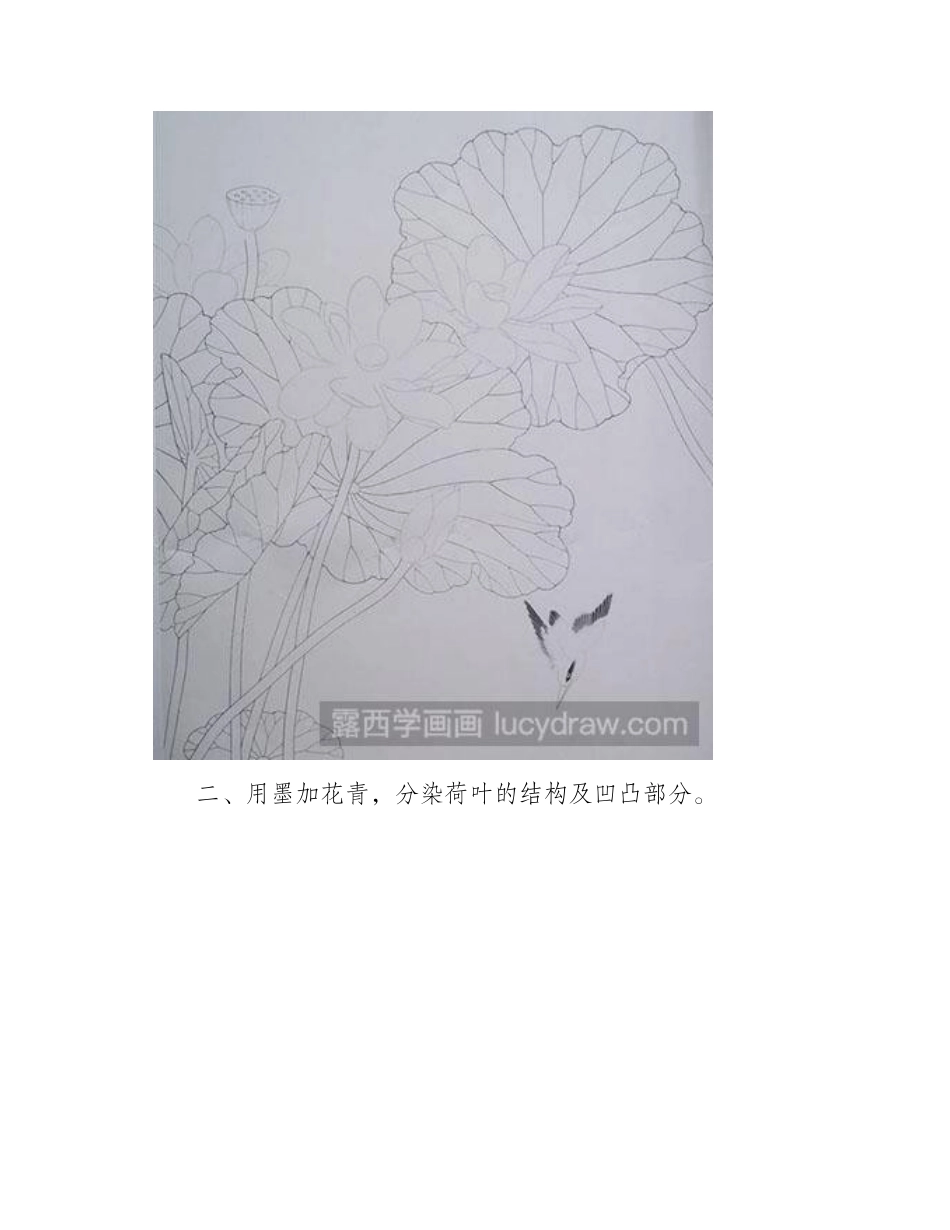 怎么画工笔画荷花与翠鸟工笔画教程_第2页