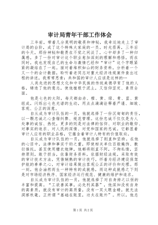审计局青年干部工作体会