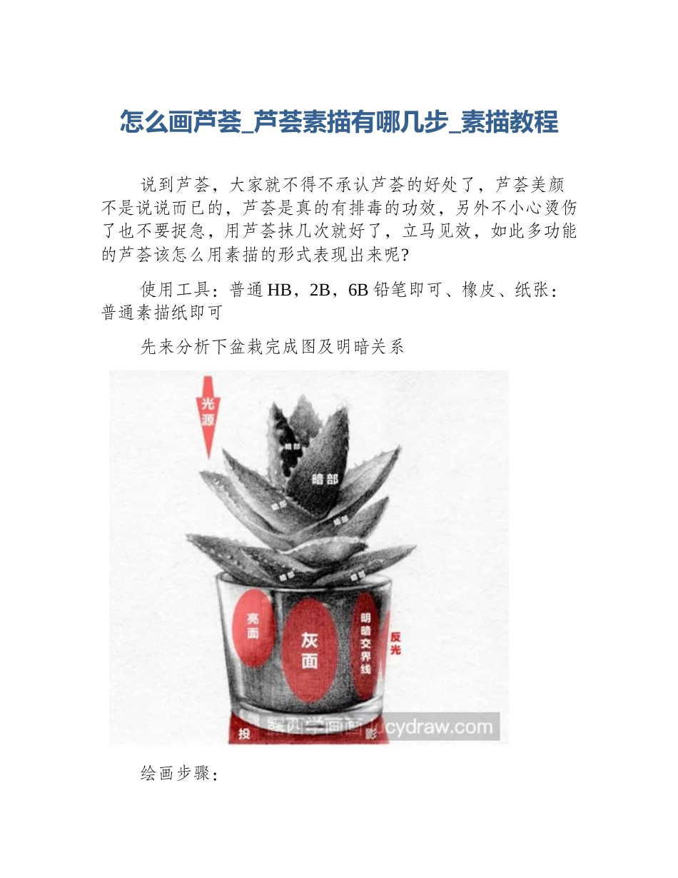 怎么画芦荟_芦荟素描有哪几步_素描教程_第1页