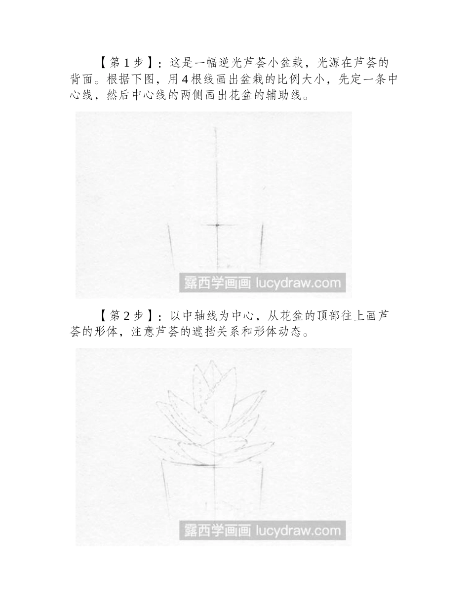 怎么画芦荟_芦荟素描有哪几步_素描教程_第2页