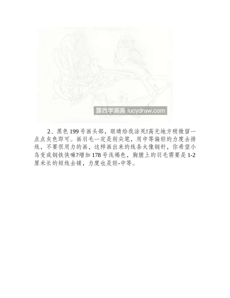 紫玉兰和小鸟怎么画_有哪些彩铅绘画步骤_彩铅画教程_第2页