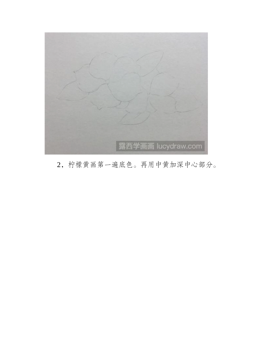 胭脂花彩铅画教程彩铅画教程_第2页