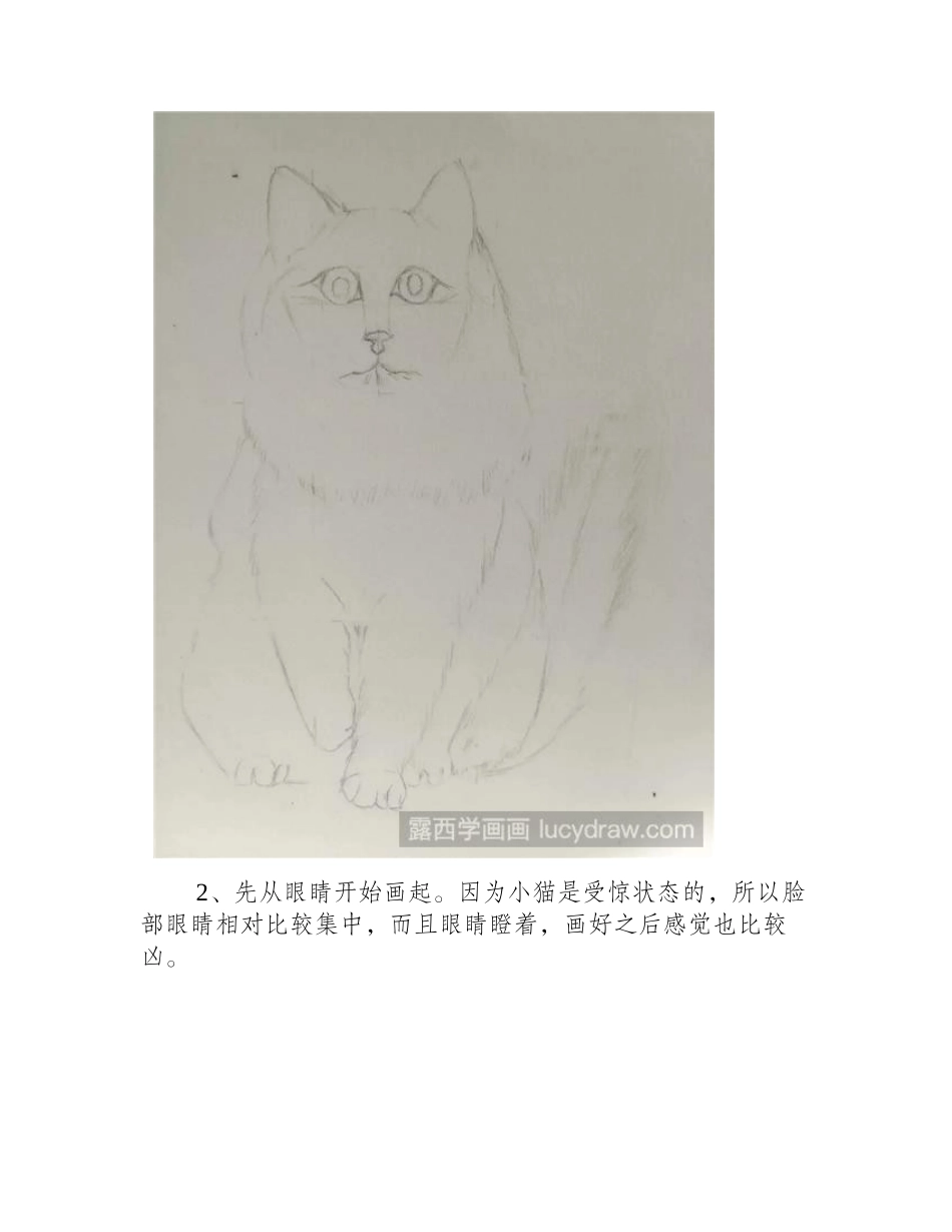 圆珠笔画猫教程钢笔画教程1_第2页
