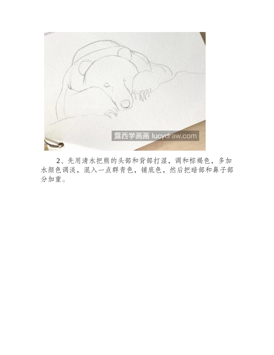 棕熊怎么画_灰熊的水彩画教程是什么_水彩画教程_第2页