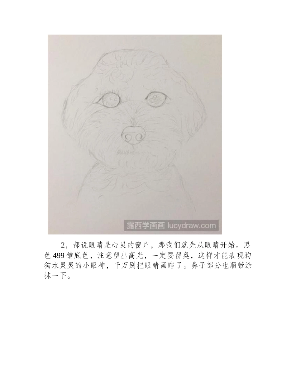 小泰迪彩铅画教程彩铅画教程1_第2页