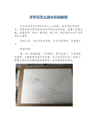 洋芋花怎么画水彩画教程