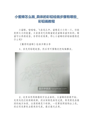 小蜜蜂怎么画_具体的彩铅绘画步骤有哪些_彩铅画教程