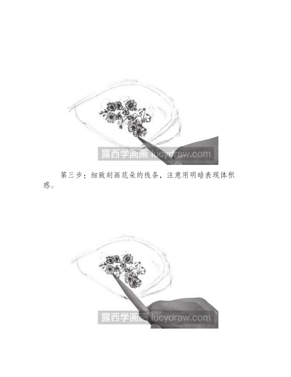 怎么画速写簸箕和花教程速写教程_第2页