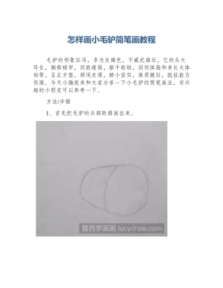 怎样画小毛驴简笔画教程