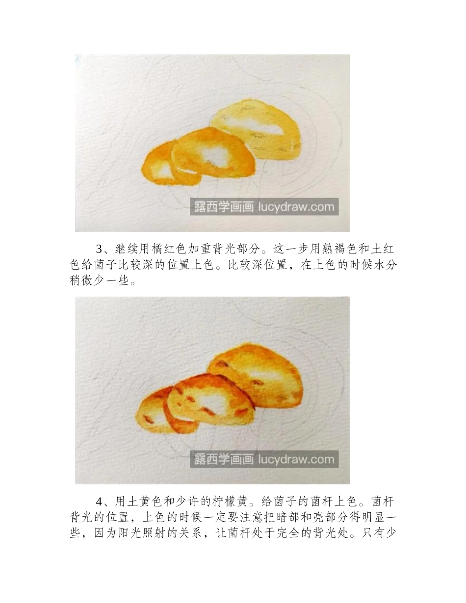 野生菌怎么画_有哪些水彩步骤_水彩画教程_第2页