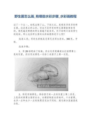 野生菌怎么画_有哪些水彩步骤_水彩画教程