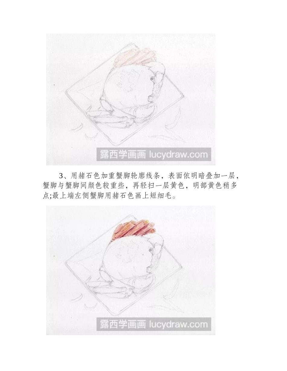 怎么绘制彩铅画大闸蟹彩铅画教程_第2页