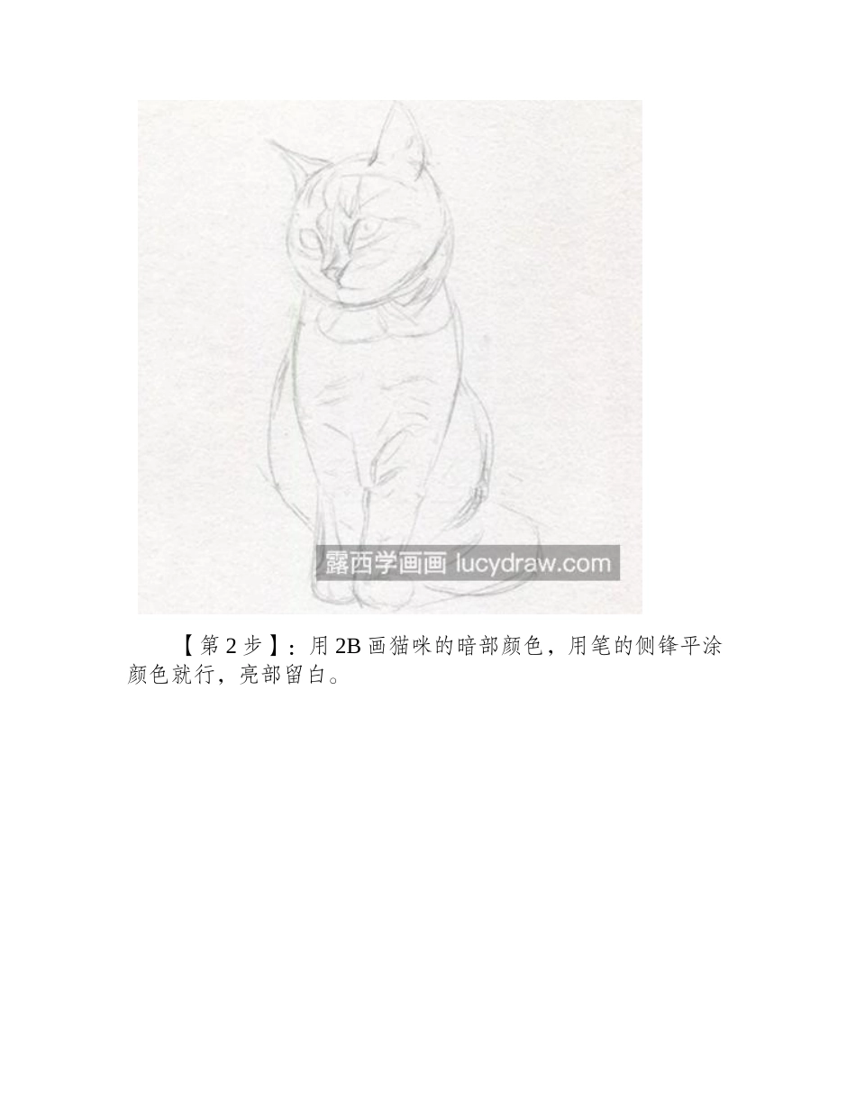 小猫咪怎么画_素描猫咪的画法是什么_素描教程3_第2页