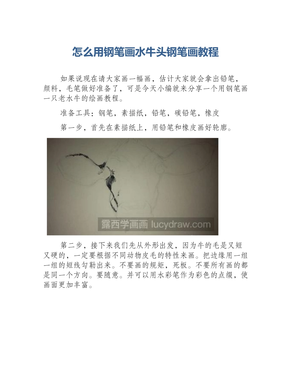 怎么用钢笔画水牛头钢笔画教程_第1页