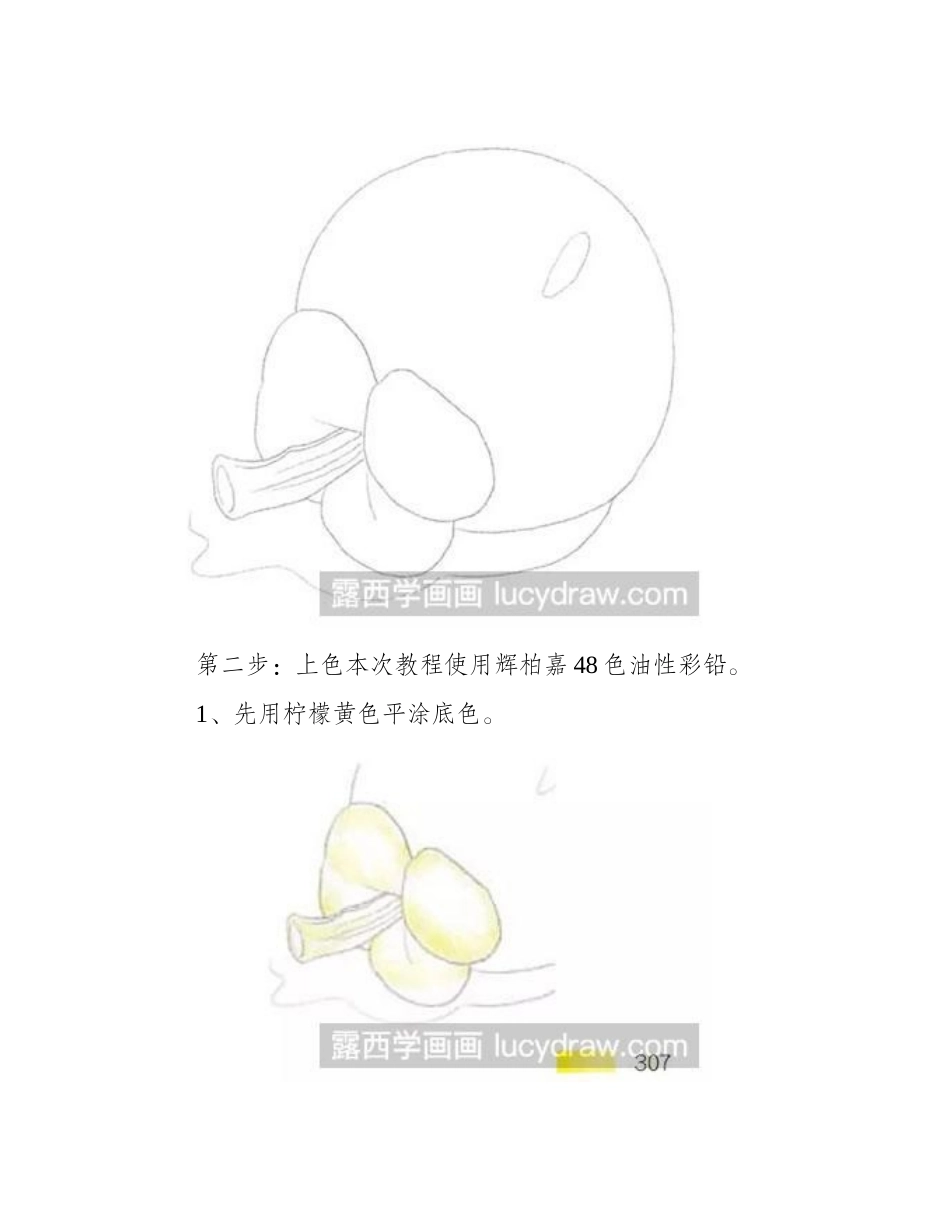 怎么绘制山竹彩铅画教程_第2页