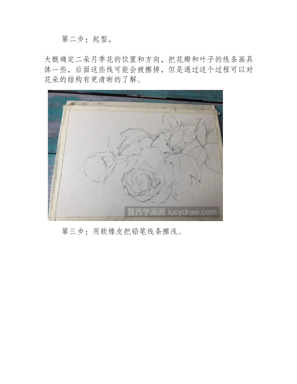 怎么用水彩画月季花水彩画教程_第2页