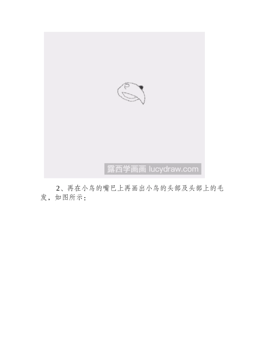 怎样画一个简笔小鸟简笔画教程_第2页