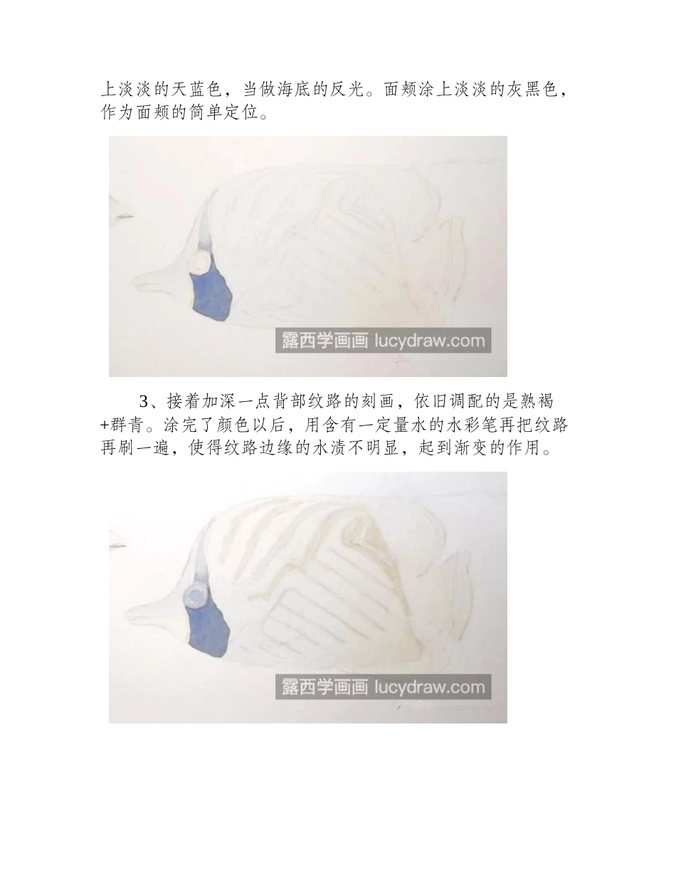 扬幡蝴蝶鱼怎么画_教你画海底的小浣熊水彩画教程_第2页
