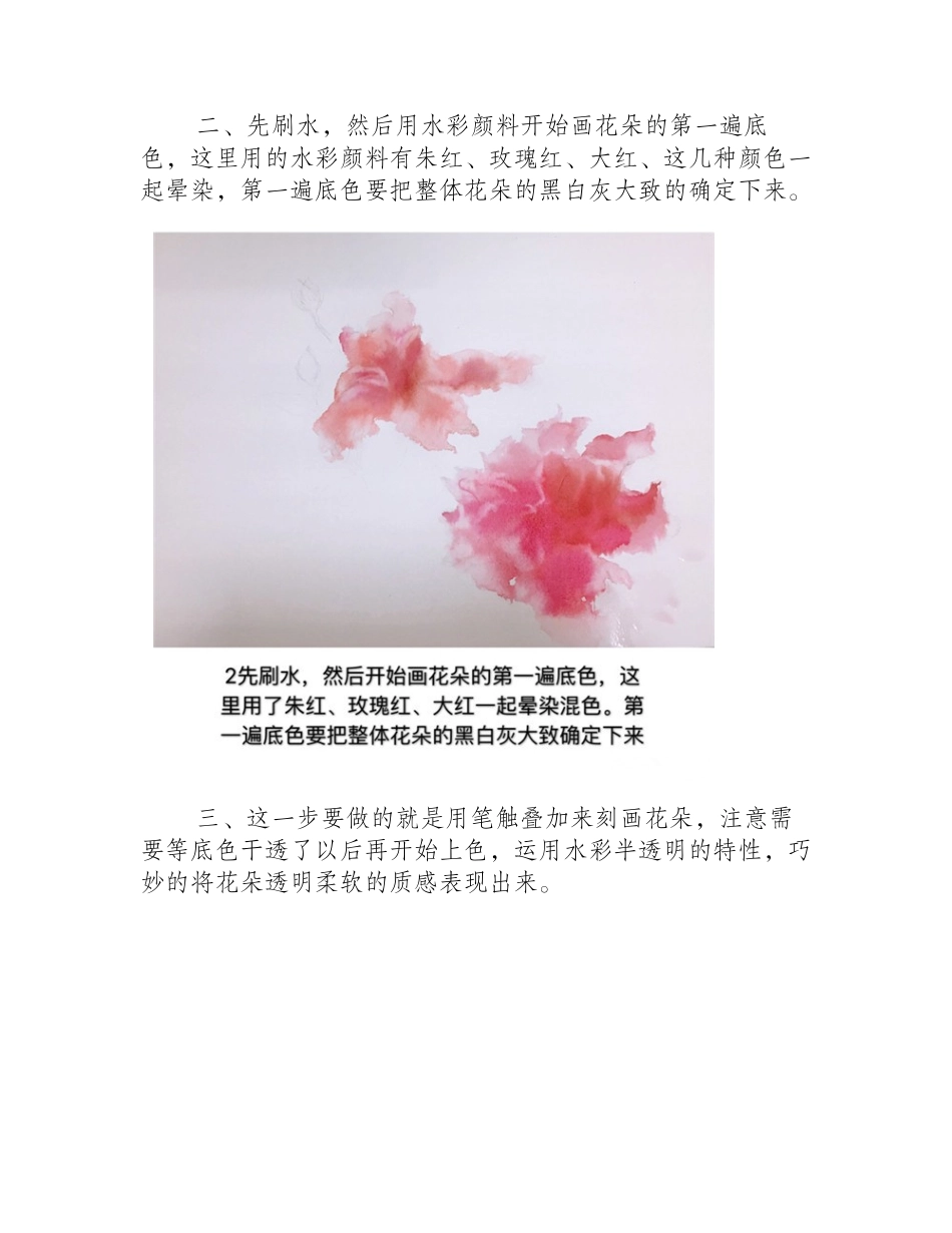 怎么画扶桑花_扶桑花水彩画教程水彩画教程_第2页