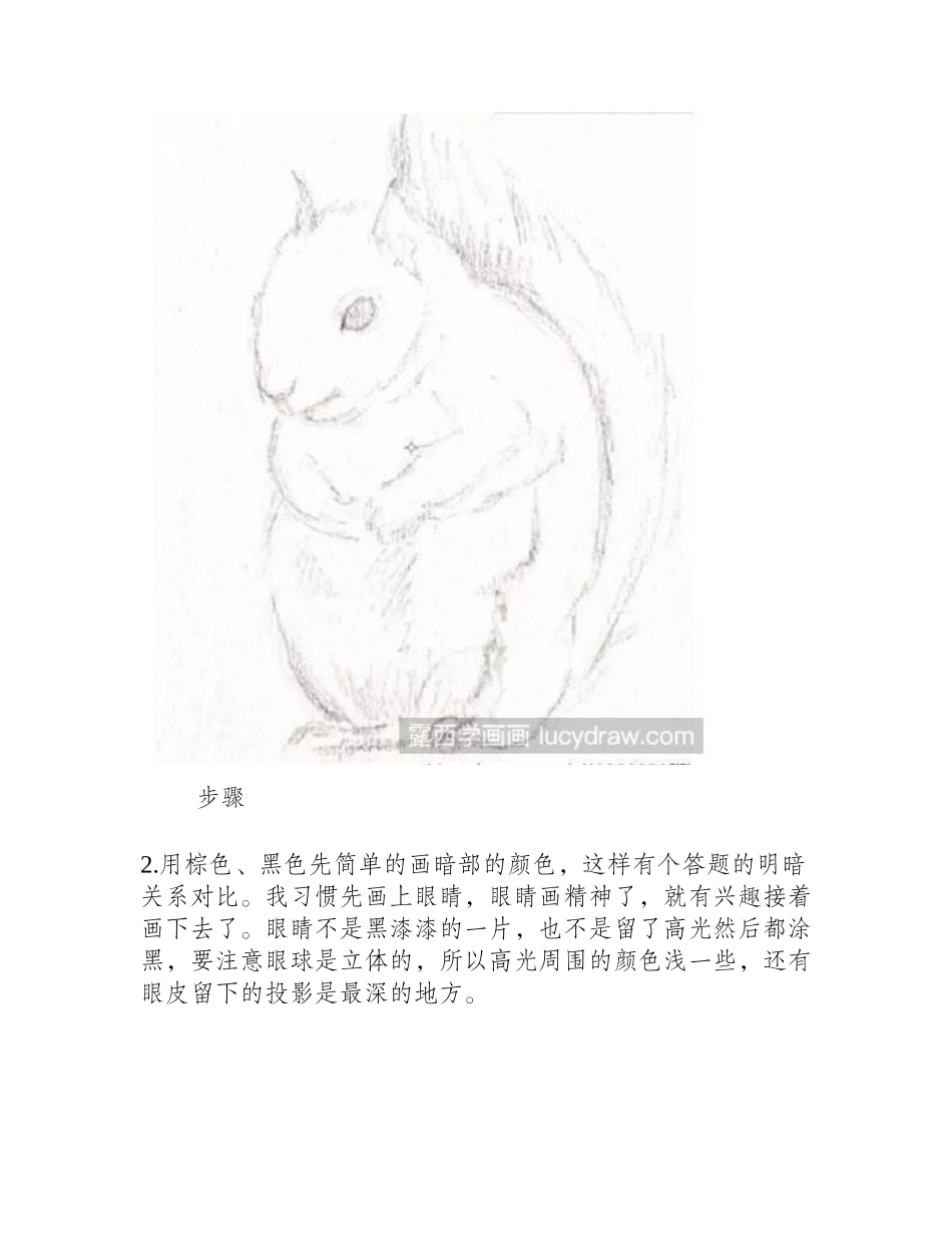 小松鼠彩铅画教程彩铅画教程_第2页