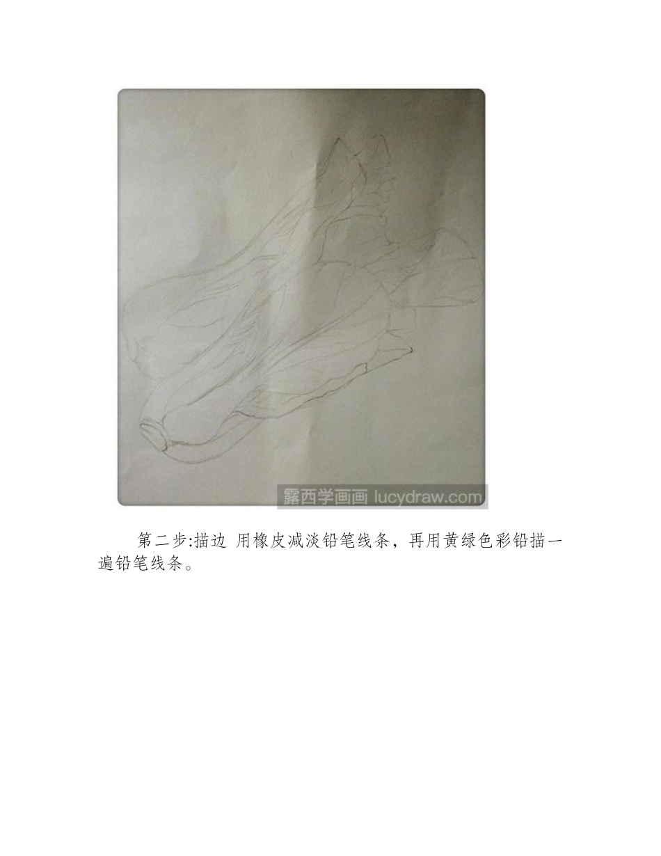 小油菜彩铅画教程彩铅画教程_第2页