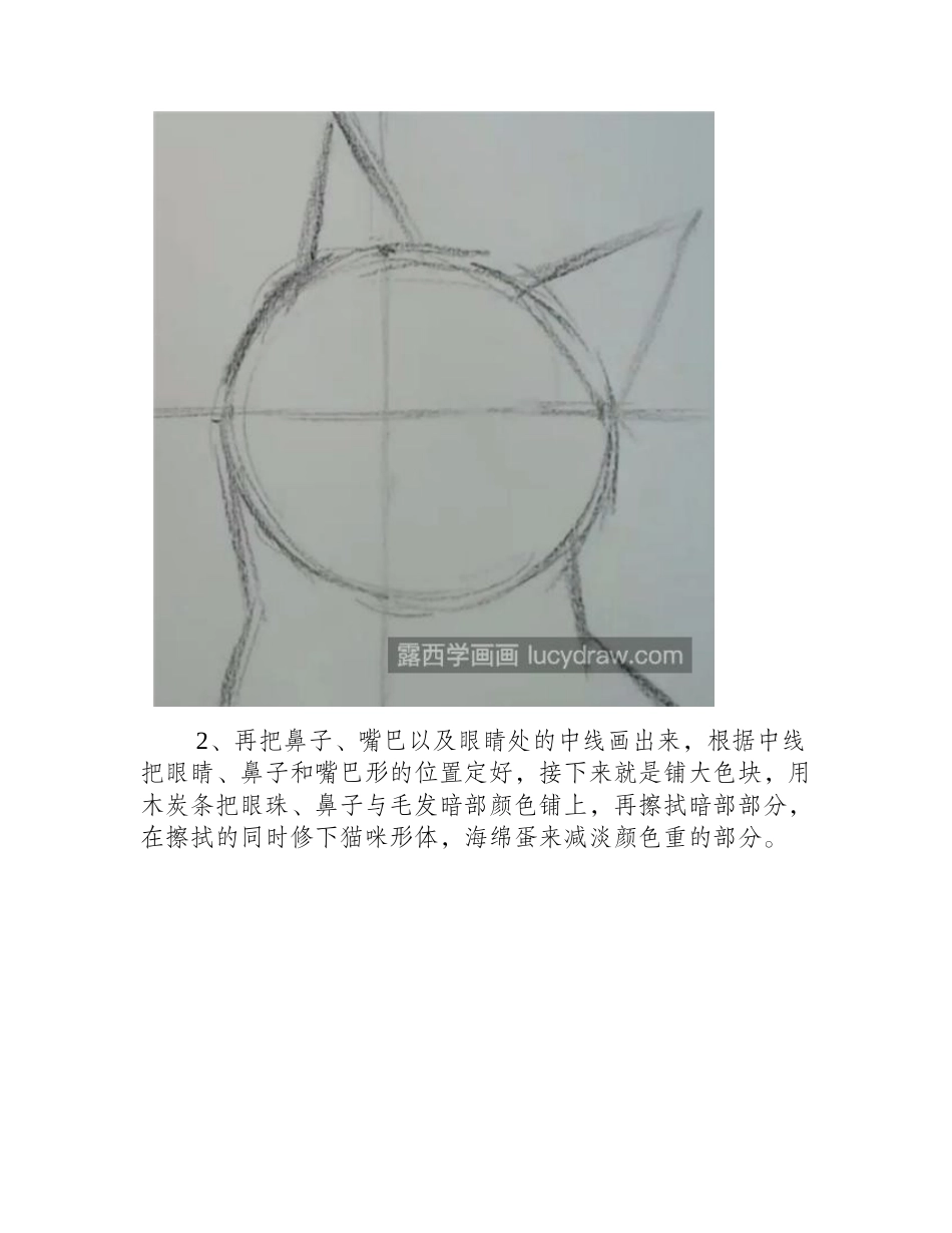 怎么画素描猫咪_小猫的素描画法是什么_素描教程_第2页