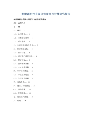 新能源科技有限公司项目可行性研究报告【绝对精品】