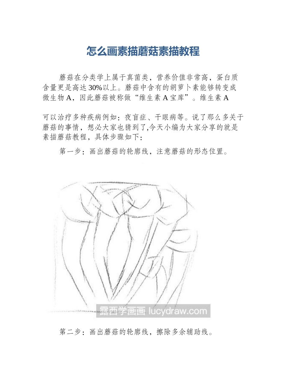 怎么画素描蘑菇素描教程_第1页