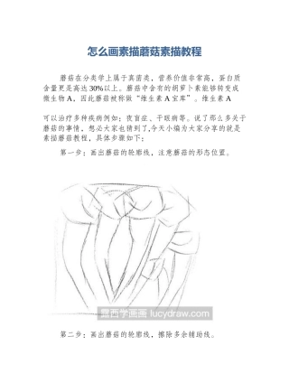 怎么画素描蘑菇素描教程