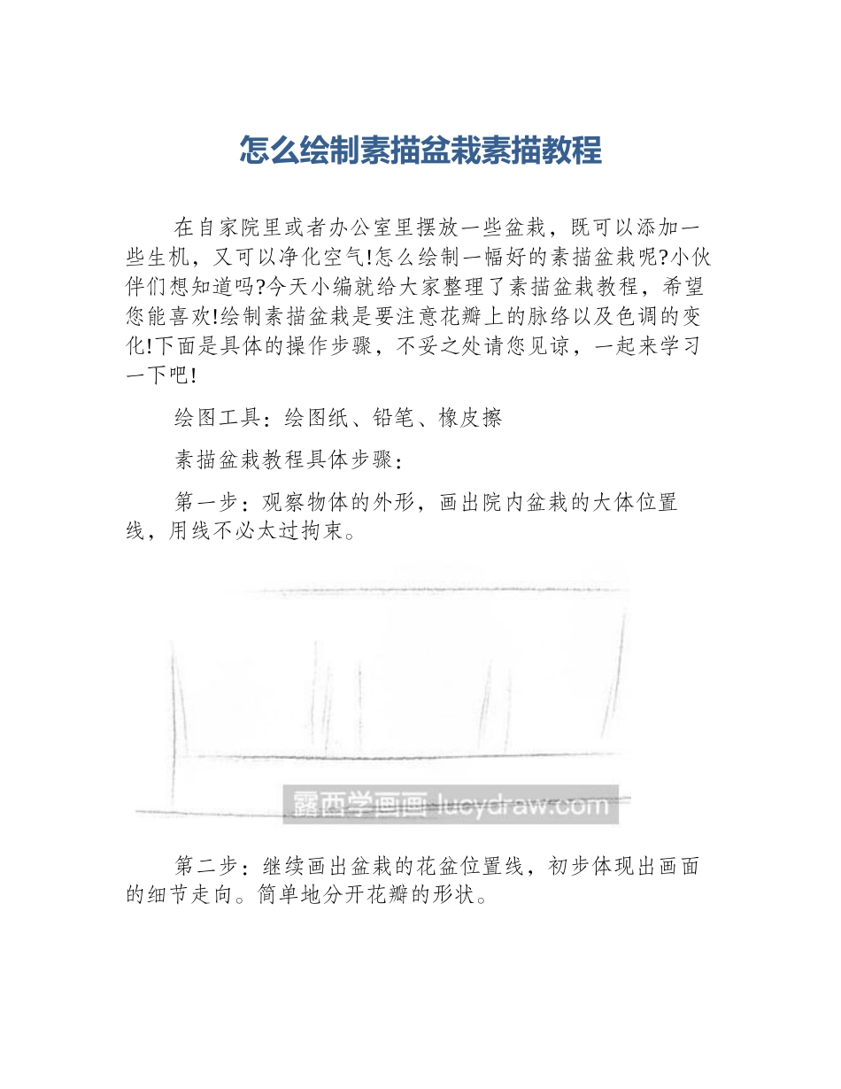 怎么绘制素描盆栽素描教程_第1页