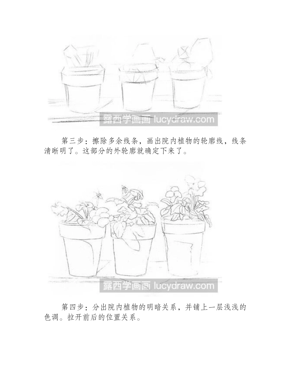 怎么绘制素描盆栽素描教程_第2页