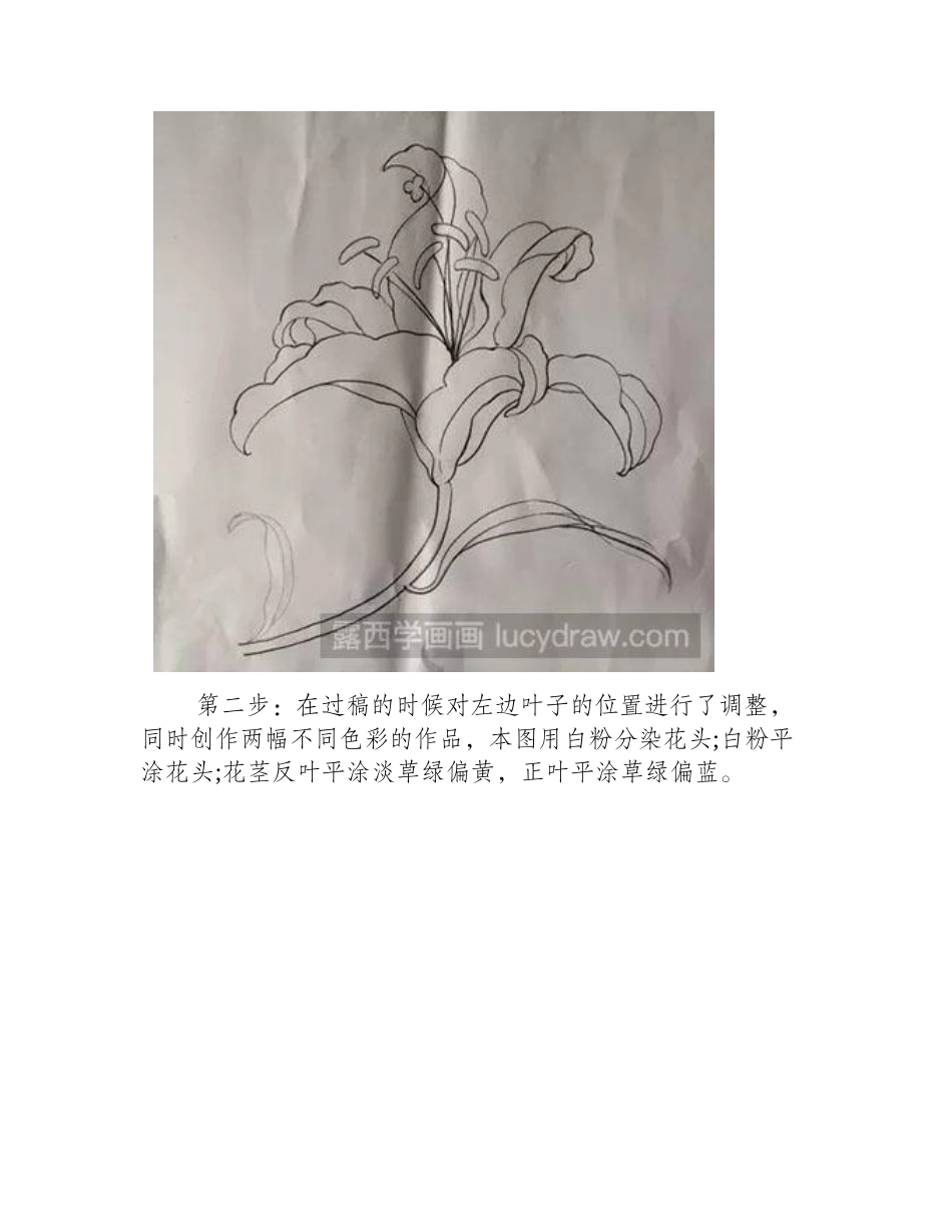 怎么画百合花工笔画教程_第2页