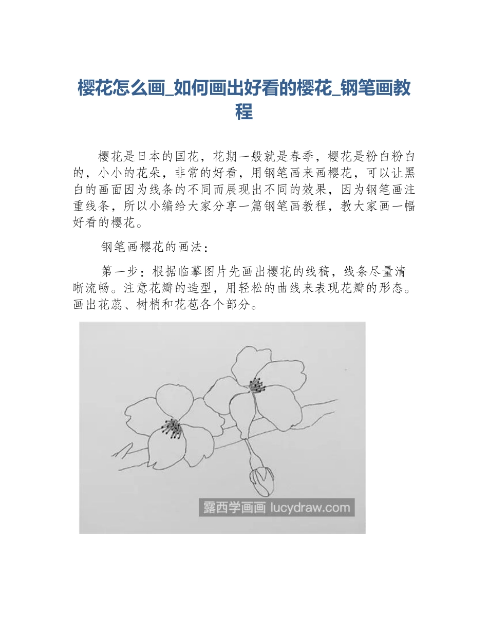 樱花怎么画_如何画出好看的樱花_钢笔画教程_第1页