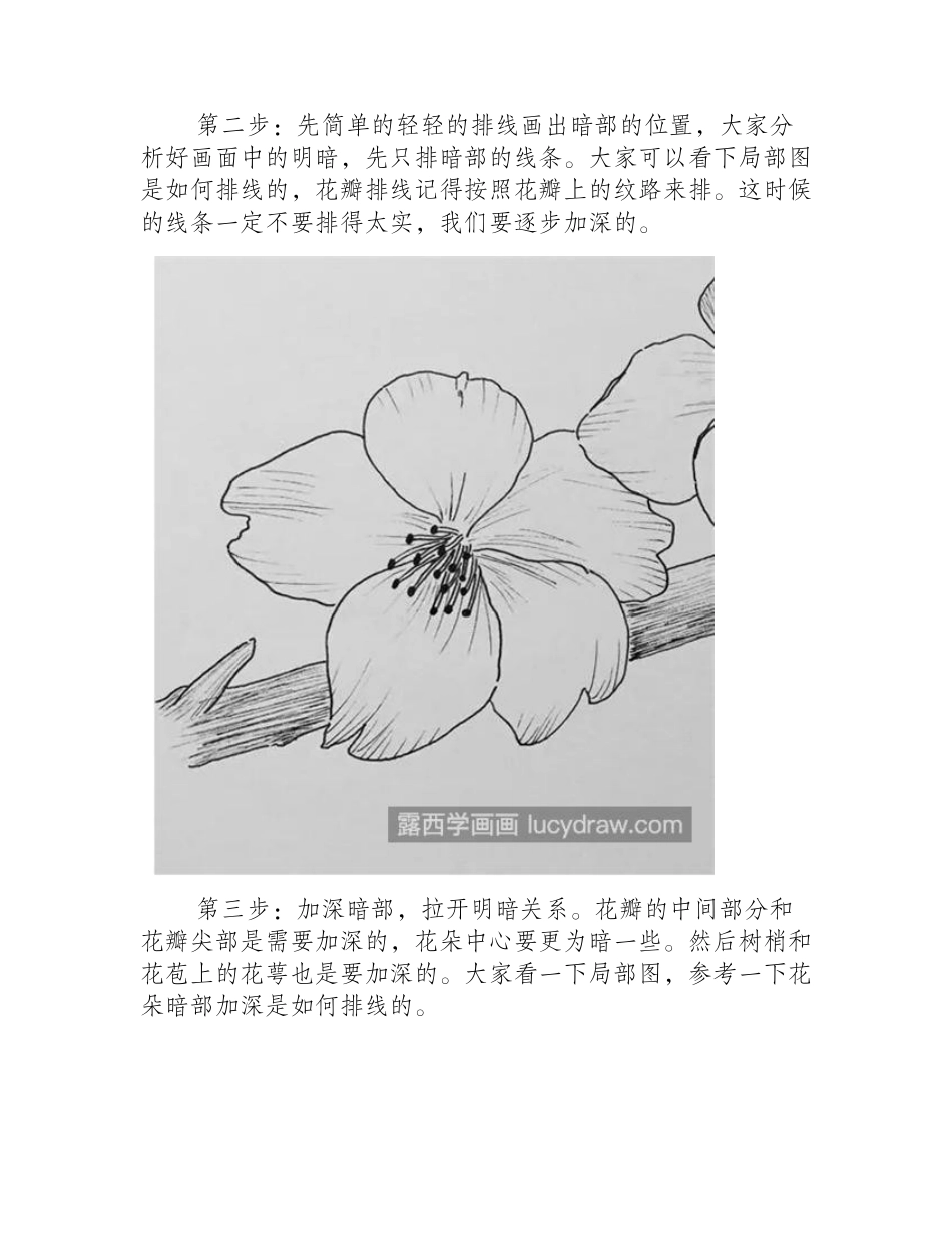 樱花怎么画_如何画出好看的樱花_钢笔画教程_第2页