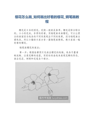 樱花怎么画_如何画出好看的樱花_钢笔画教程